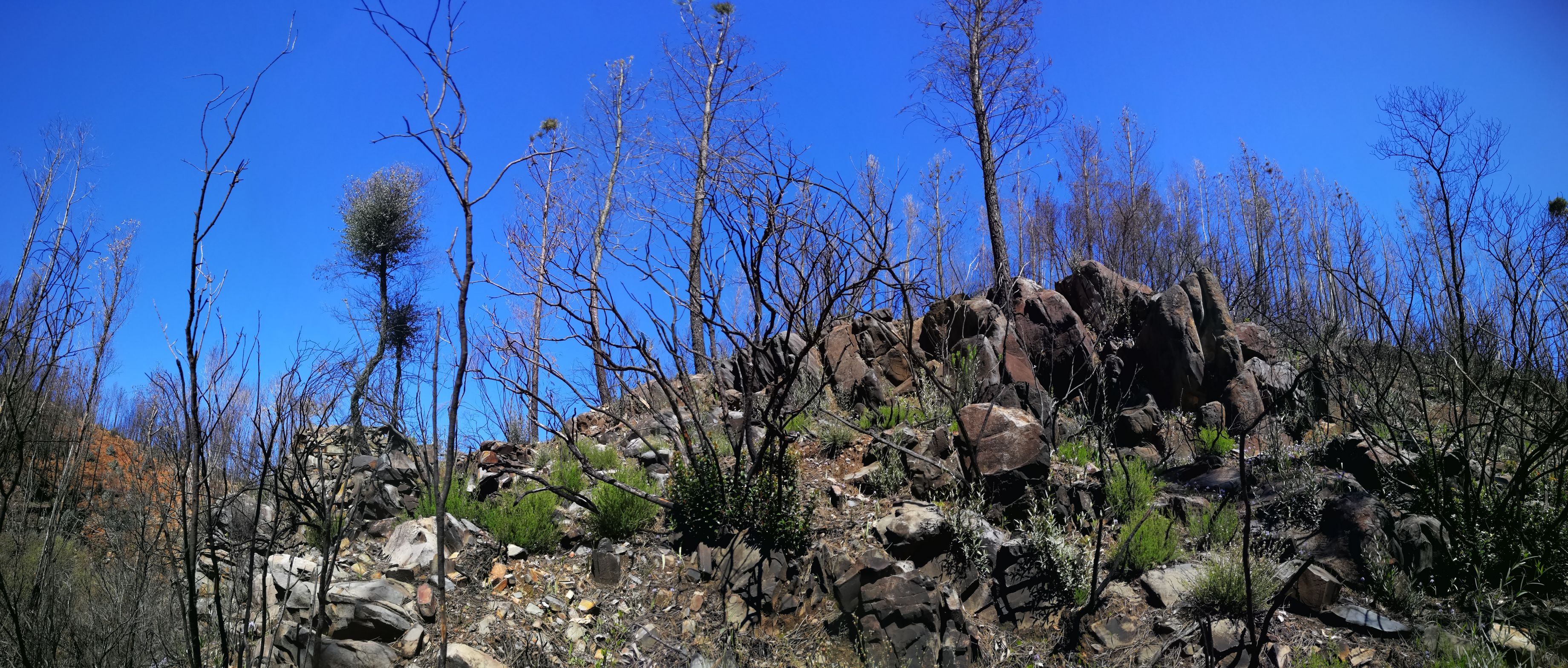 March 2018 Felsen bei Ruine 2
